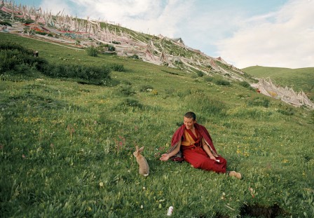 Yuanling_Wang_moine_tibet_lapin.jpg