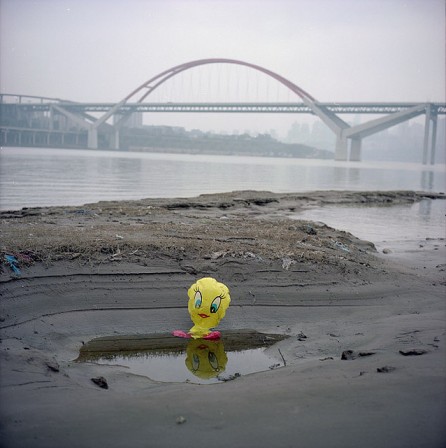 Yuanling Wang titi fleuve.jpg