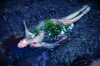 Zachar_Rise_Ophelia.jpg