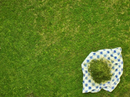 Zeev Visochan l'herbe sur le déjeuner sur l'herbe.jpg