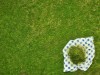 Zeev Visochan l'herbe sur le déjeuner sur l'herbe.jpg