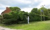 jardin_dragon_sage.jpg