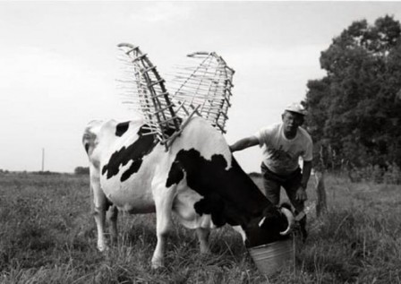 vache_volante_le_secret_du_fromage_francais.jpg