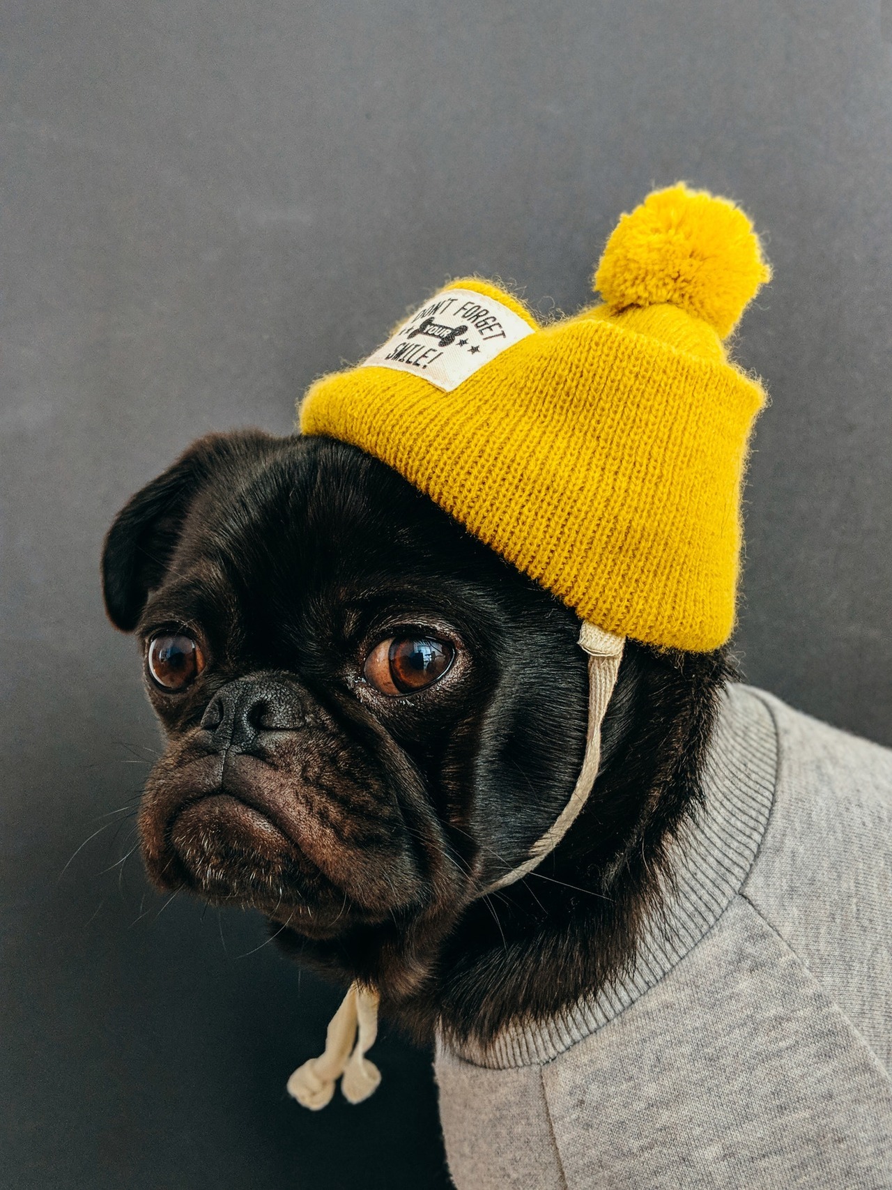 comprendre les expressions du visage français : bonnet jaune et jaune bonnet  - Bretzel liquide, humour noir, propos et photos étranges