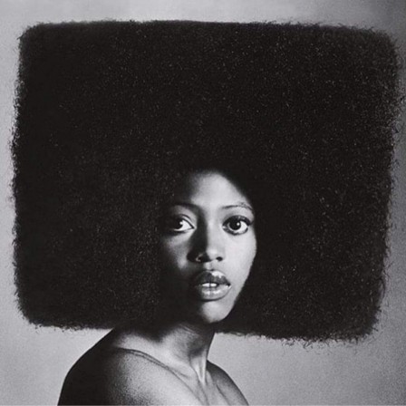 1965 Hair by Phillip Mason. Photo by Richard Blinkoff carré afro.jpg, mai 2020