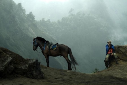 Andre Arment le cheval de la montagne.jpg, sept. 2020