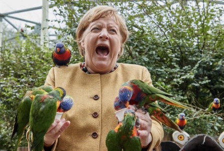 Angela Merkel a visité un parc zoologique hier à Marlow Tout se passait pour le mieux jusqu’à qu’elle se fasse mordre par un loriquet arc-en-ciel australien Business Insider.jpg, sept. 2021