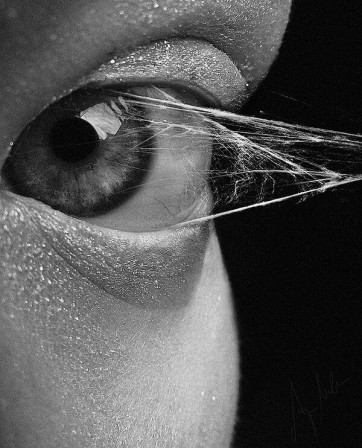 Anja Millen l'oeil collé toile d'araignée.jpg, mai 2023