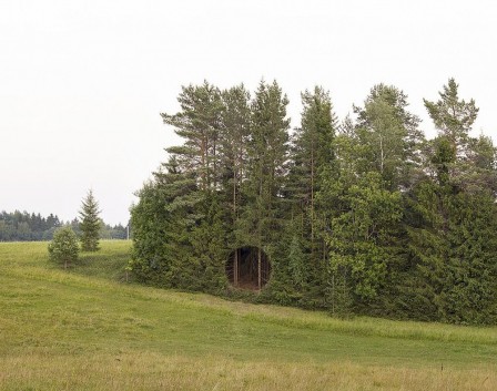 Antti Laitinen forêt le terrier.jpg, nov. 2021