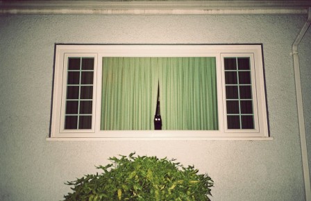 Brett Fryzuk chat à la fenêtre.jpg, mar. 2021