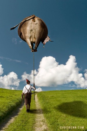 Chris Bennett la promenade de la vache.jpg