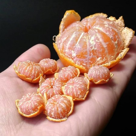 Clay mini fruits by Ukraine artist @nikkanett mandarine clémentine c'est le weekend les enfants.jpg, oct. 2020
