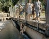 Curran Hatleberg le zoo.jpg, mar. 2021