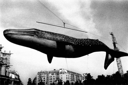 Daido Moriyama baleine bientôt ce serait à nouveau Paris plage.jpg, mar. 2021