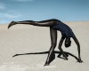 Dana Scruggs Nyadhour Elevated Vallée de la Mort Californie 2019.jpg, août 2021