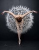 Dandelion Aigrette De Pissenlit ballerine adieu 2020.jpg, déc. 2020