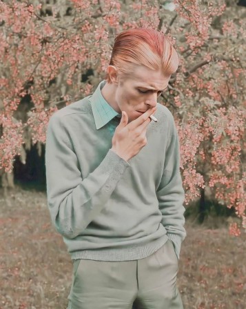 David Bowie 1976 les grands artistes sont toujours en harmonie avec les saisons.jpg, juin 2020