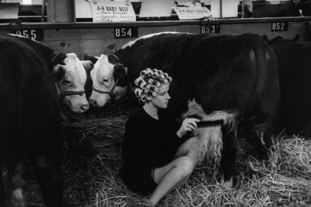 Dennis Stock Beauty contest at the Iowa State Fair, Des Moines, 1965.jpg, fév. 2020