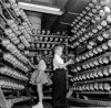 Doll factories 1955  choisir un petit frère.jpg, oct. 2020