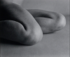 Edward Weston Nude 61, Knees.png, fév. 2020