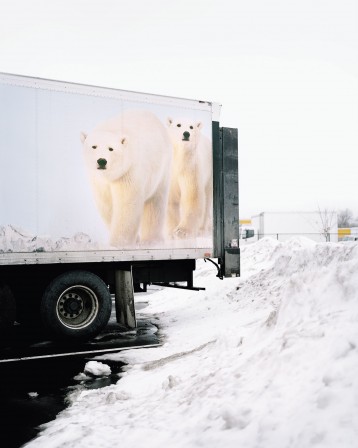 Eva O’Leary bonjour les ours.jpg, déc. 2020