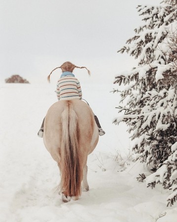 Fjordpferd Amon pour Fifi Brindacier le chemin jusqu'au réveillon était encore long .jpg, déc. 2023