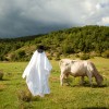 Francesco Brunotti fantôme mes vacances à la campagne.jpg, mar. 2020