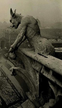 Gargouille de Notre-Dame Paris 1910.jpg, nov. 2021