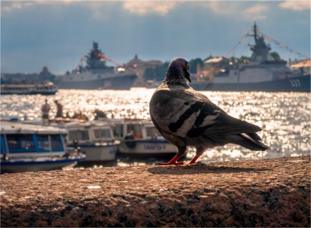 Gennady Blohin être né quelque part.jpg, sept. 2019