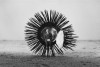 Gilbert Garcin les précautions.jpg, août 2021