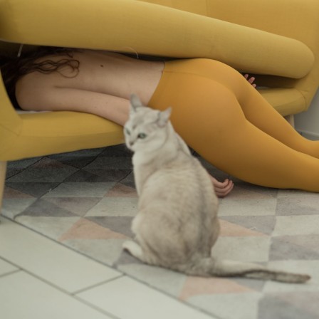 Giuseppe Palmisano chat états d'âme heure de la Pâtée de Luxe au Saumon et syndromes dépressifs chez la jeune adulte.jpg, janv. 2023