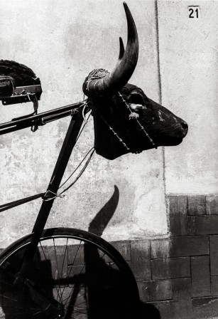Graciela Iturbide Torito Coyoacán México 1983 vélo taureau 21 à cheval.jpg, juin 2023