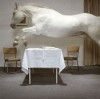 Hannes Wallrafen De Schimmel 1992 cheval saut d'obstacle prêt à entrer dans la nouvelle année bonne année.jpg, déc. 2022