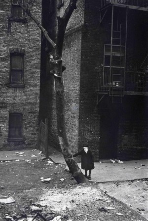 Helen Levitt masks in tree 1939 le masque dans l'arbre.jpg, juil. 2021