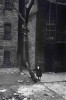 Helen Levitt masks in tree 1939 le masque dans l'arbre.jpg, juil. 2021