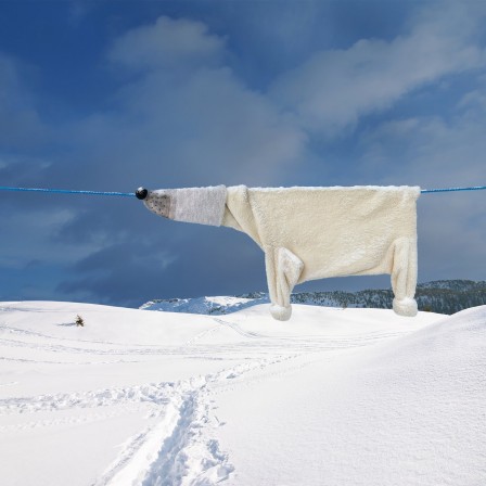 Helga Stentzel je me souviens des ours blancs.jpg, août 2021