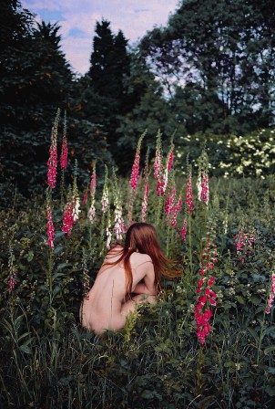 Hollie Fernando j'irai pisser dans les lupins.jpg, janv. 2022