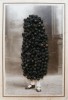 Iris Legendre les petits fruits secs.jpg, juin 2021