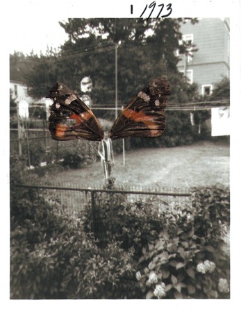 Jaclyn Corrado papillon les ailes de l'enfance.jpg, juin 2020