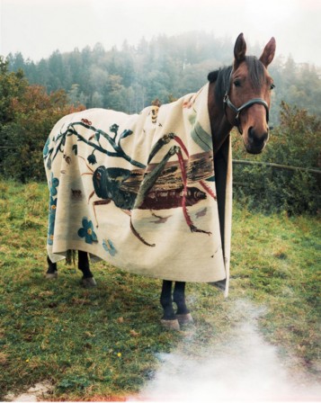 Lukas Wassmann cheval une petite laine.jpg, oct. 2020