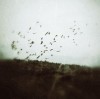 Magdalena Wanli les oiseaux 2.jpg, sept. 2020