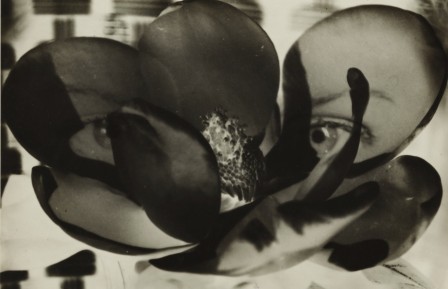 Man Ray Magnolia Double Exposure 1930.jpg, août 2021