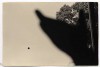Masao Yamamoto les premières images.jpg, juil. 2021