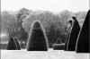 Michael Kenna arbre de la pilosité.jpg, févr. 2023
