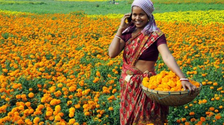 Nimai Chandra Ghosh la petite marchande de fleurs.jpeg, oct. 2019