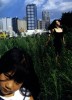 Nobuyoshi Araki Femme de Mouche 1994.jpg, août 2021