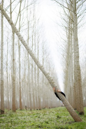 Olivier M. l'arbre qui cache le bucheron.jpg, nov. 2021