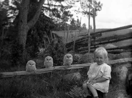Oskar Jarén Systerdottern Karin och tre uggleungar Nièce Karin et trois hiboux 1925 les quatre petites chouettes.jpg, mai 2023