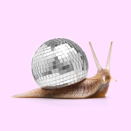 Paul Fuentes Disco snail escargot petit à petit les fêtes approchaient.jpg, déc. 2021