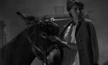 Robert Bresson Au hasard Balthazar 1966 âne.jpg, mai 2023